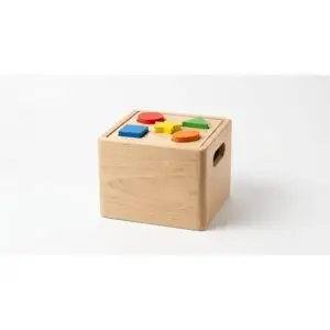 Wooden Shape Sorter Box
